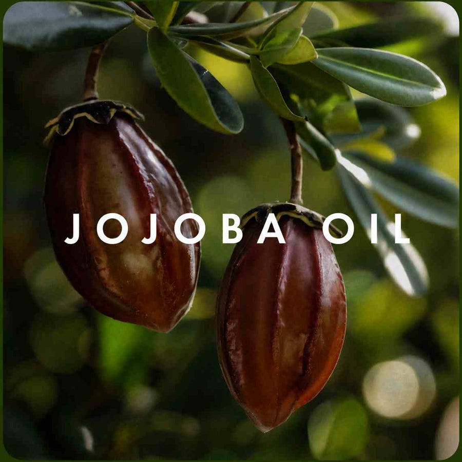 Jojoba Oil